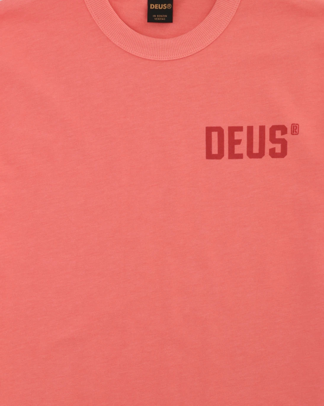 CAMISETA ROSA DEUS