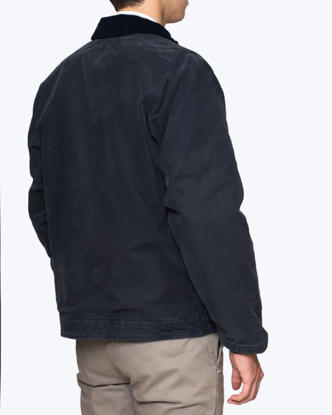 CAZADORA AZUL CHESAPEAKE`S