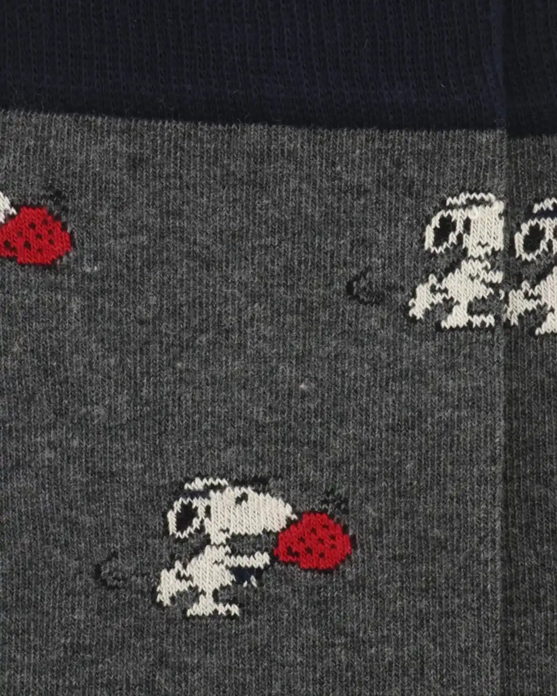 CALCETINES GRISES INTHEBOX SNOOPY