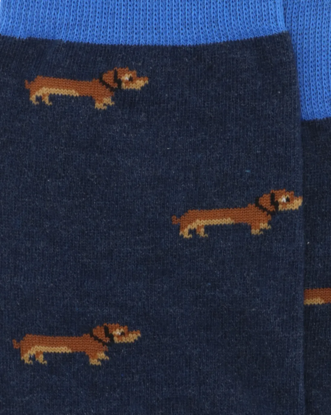 CALCETINES ALTEA TECKELS AZULES