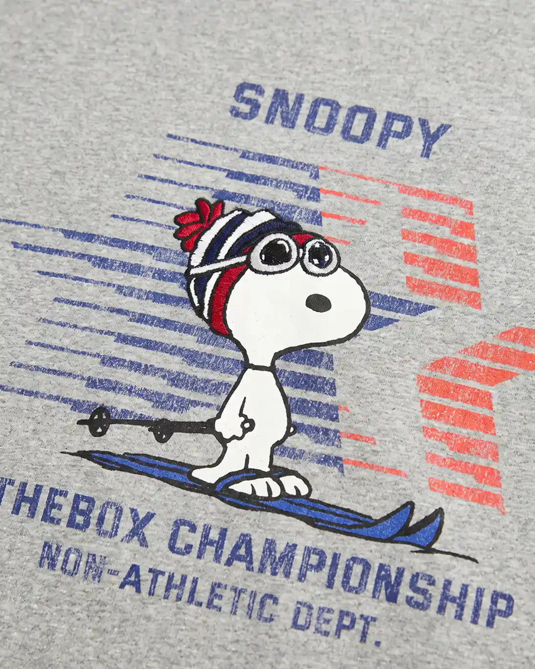 CAMISETA SNOOPY SKI GRIS INTHEBOX