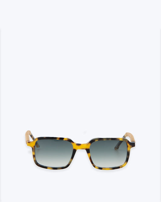 GAFAS PIERRE CAREY BOCA