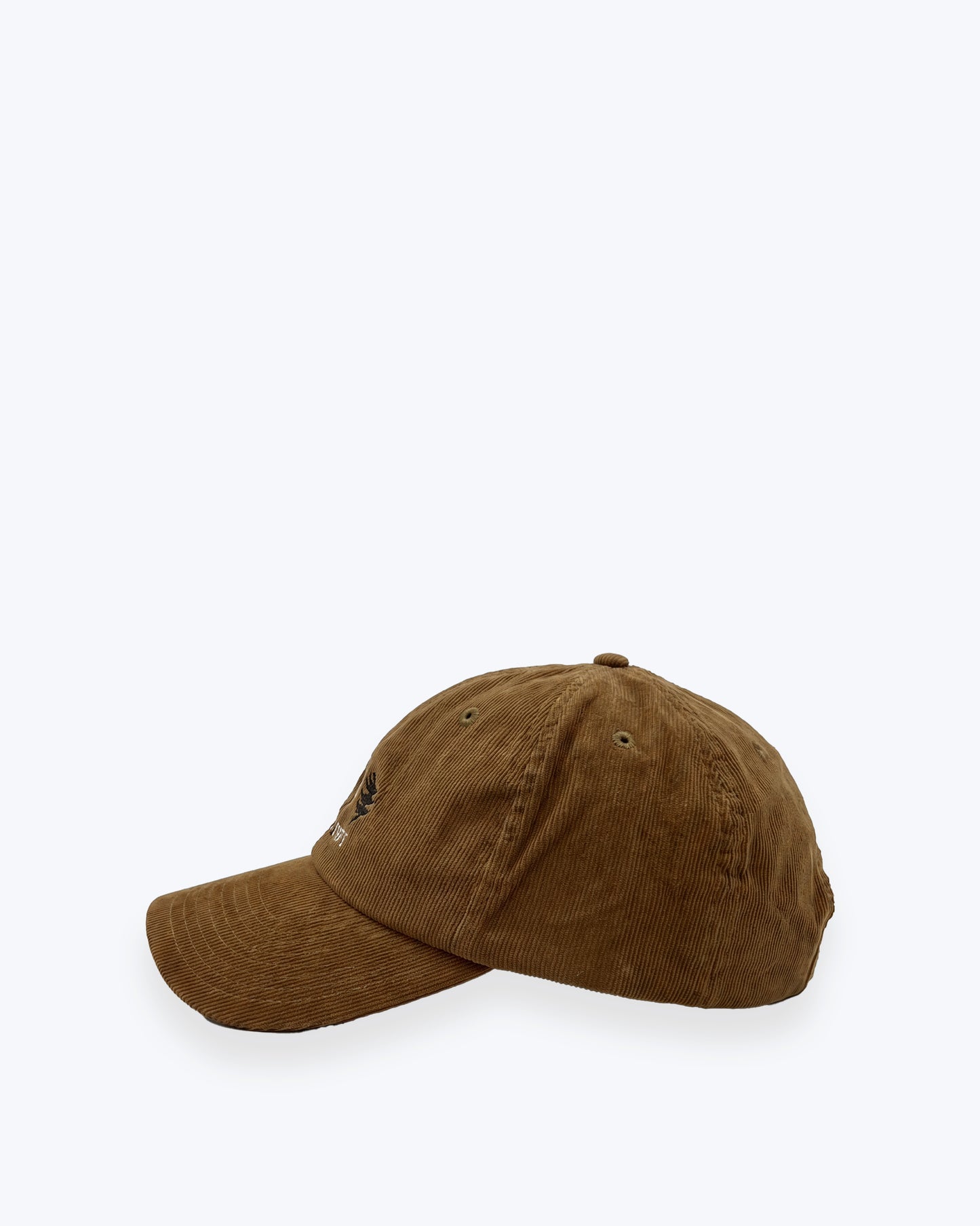 GORRA DE PANA SNOOPY CAMEL INTHEBOX